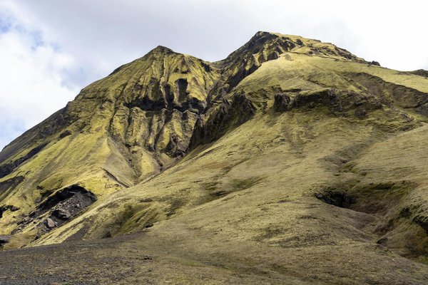 Stratégies innovantes pour les professionnels de la santé : améliorer la prise en charge de la violence domestique chez les adultes.